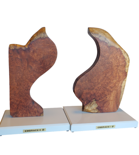 Sculptures Sculptures