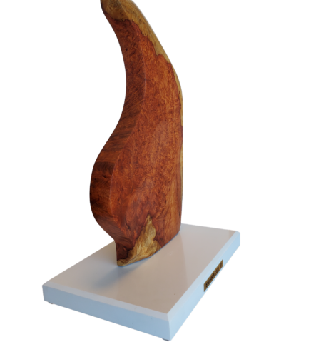 Sculptures Sculptures