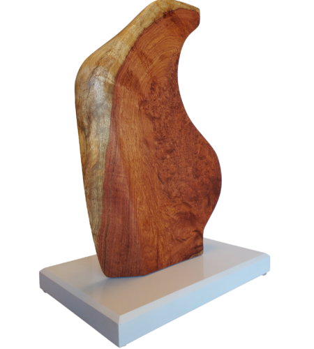 Sculptures Sculptures
