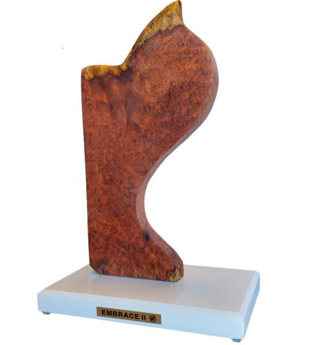 Sculptures Sculptures